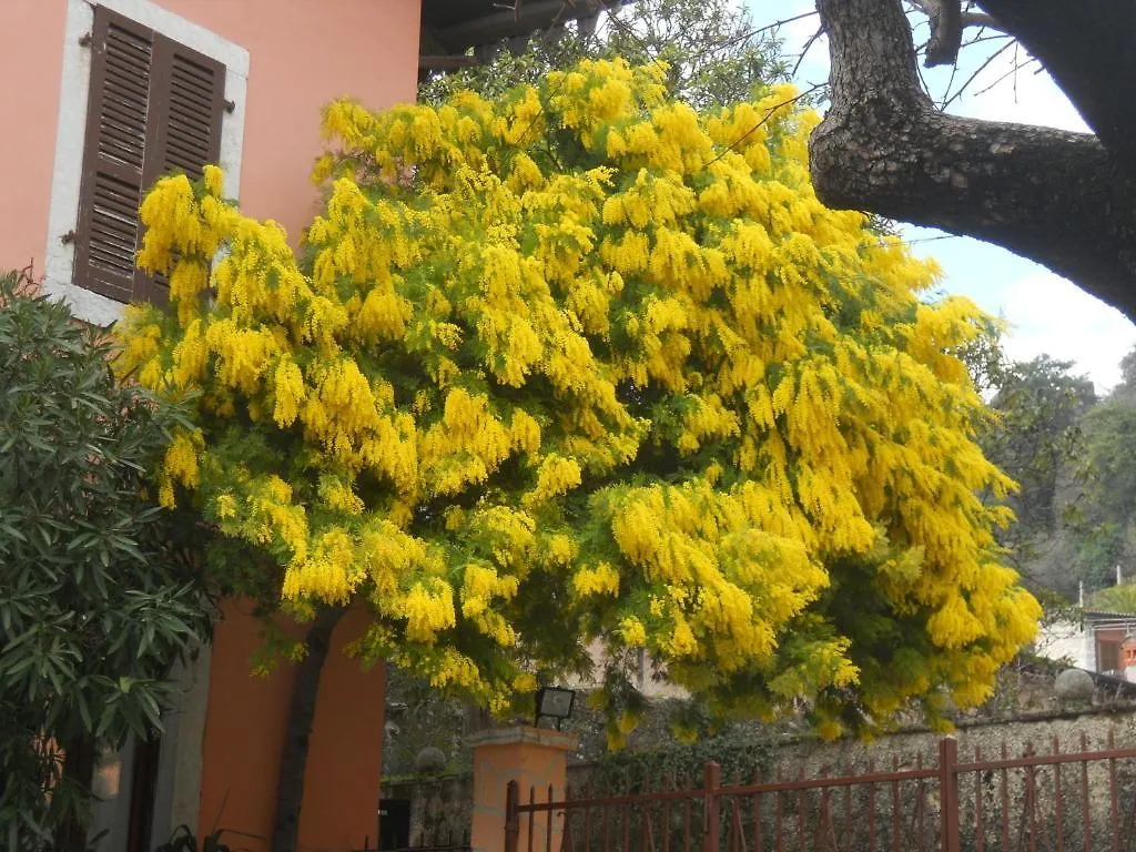 *** Hotel Albergo Giardino Toscolano Maderno Italy